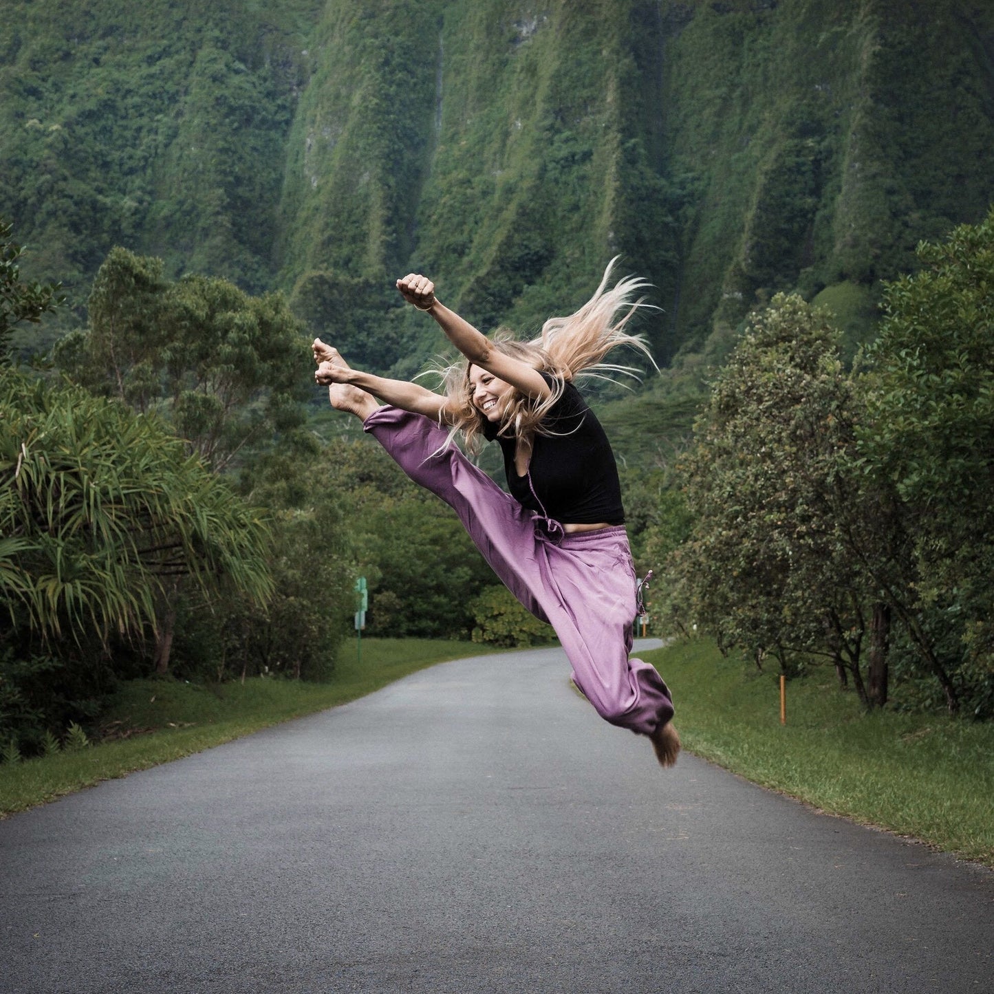 jumping gypsy harem pants hawaii#color_lavenderi